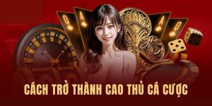 cách trở thành cao thủ cá cược